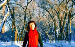 新恋爱时代mp4下载